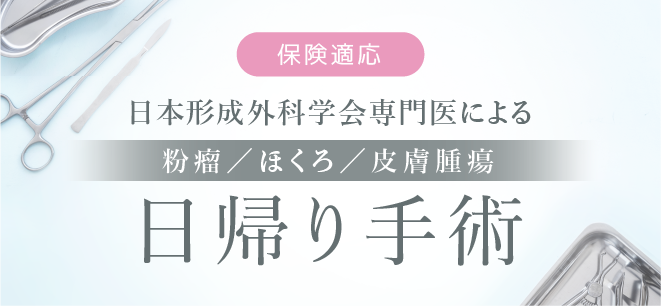 保険適応 日本形成外科学会専門医による 粉瘤/ほくろ/皮膚腫瘍 日帰り手術